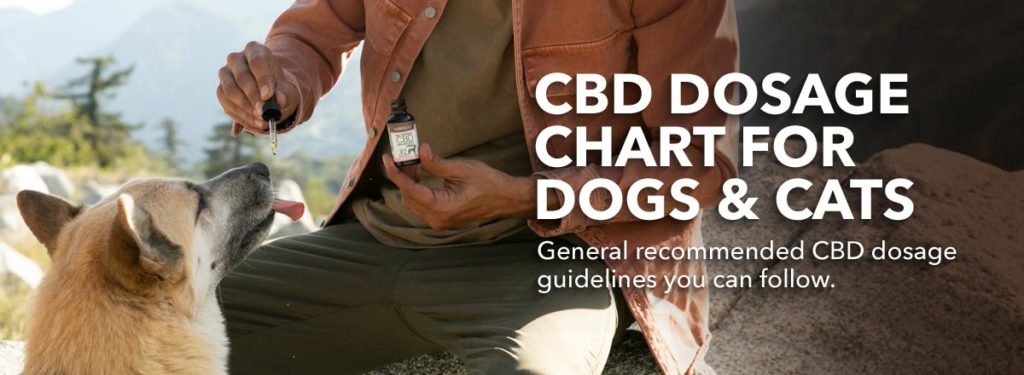 cbd dosage chart for dogs & cats